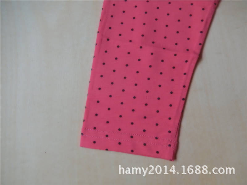 DSCN1725