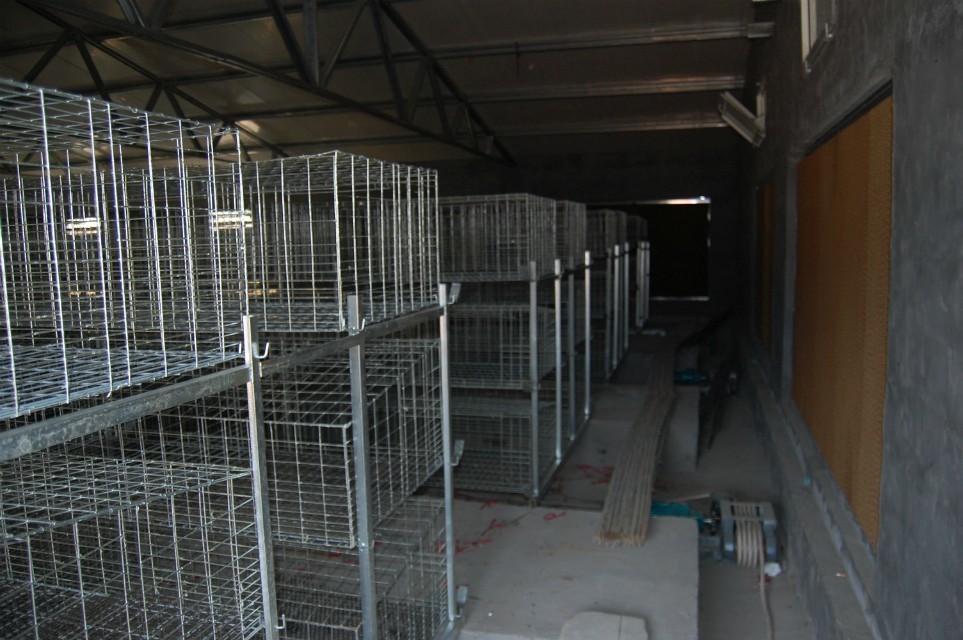 畜牧、养殖业机械-肉鸡笼养设备批发肉鸡笼安