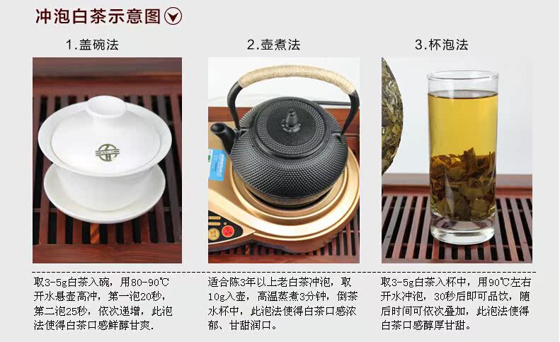白茶冲泡方法