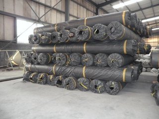 t013ead6e1513a04ad7