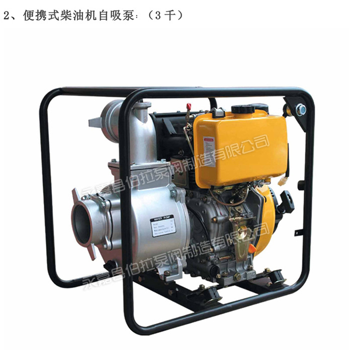 2 便携式柴油机自吸泵 (1)