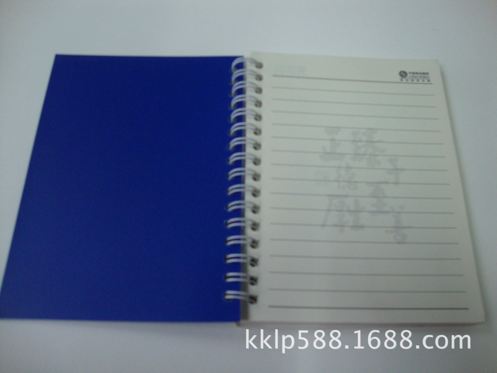 DSC02321 (2)