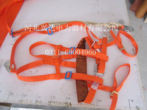 照片 493_副本