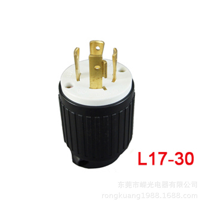 NEMA L17-30P LK-6436 (2)