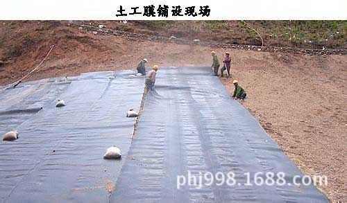 土工膜铺设现场