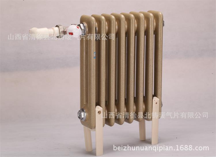 北铸铸铁散热器 颂雅卫浴系列 新型铸铁暖气片 专利产品