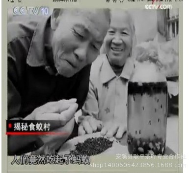 1039720244_260890943