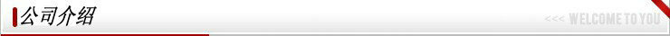 公司介绍