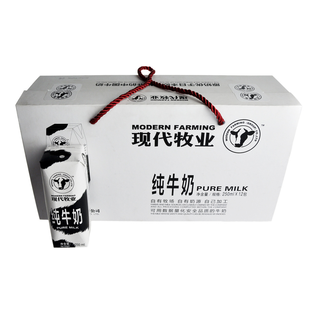 可长期批发零售现代牧业纯牛奶液体奶纯奶液体乳250ml*12