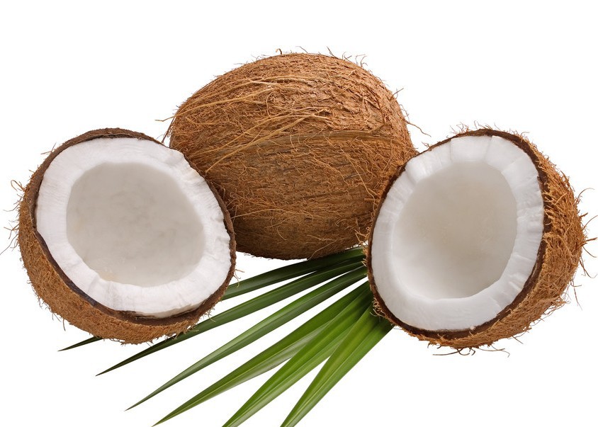 椰子-老椰子--阿里巴巴采购平台求购产品详情