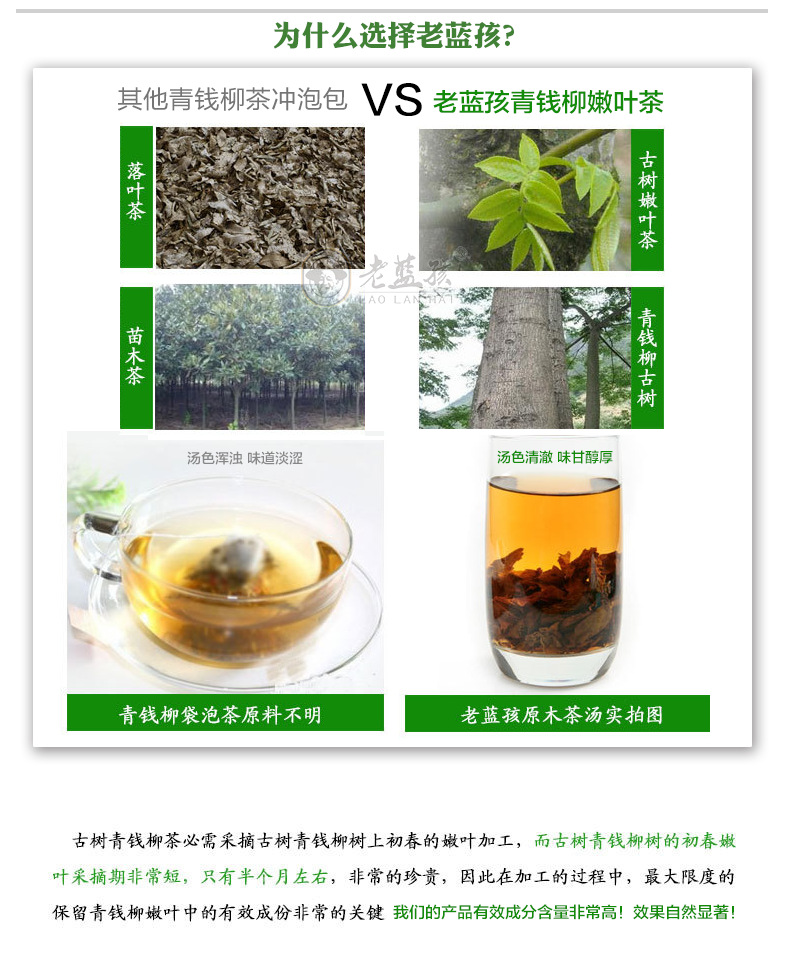 老蓝孩青钱柳茶降糖茶青钱柳神茶降血脂茶原生态极品养生茶正品