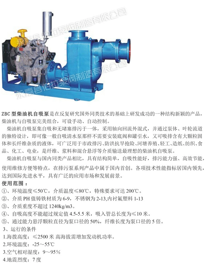 3 ZBC型柴油机自吸泵 (2)