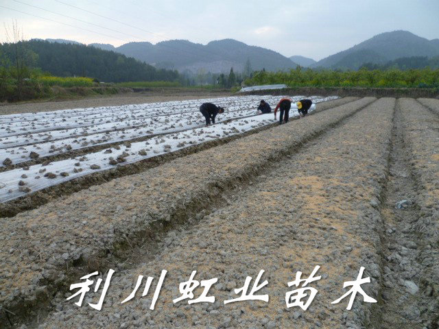 点击打开原图 undefined