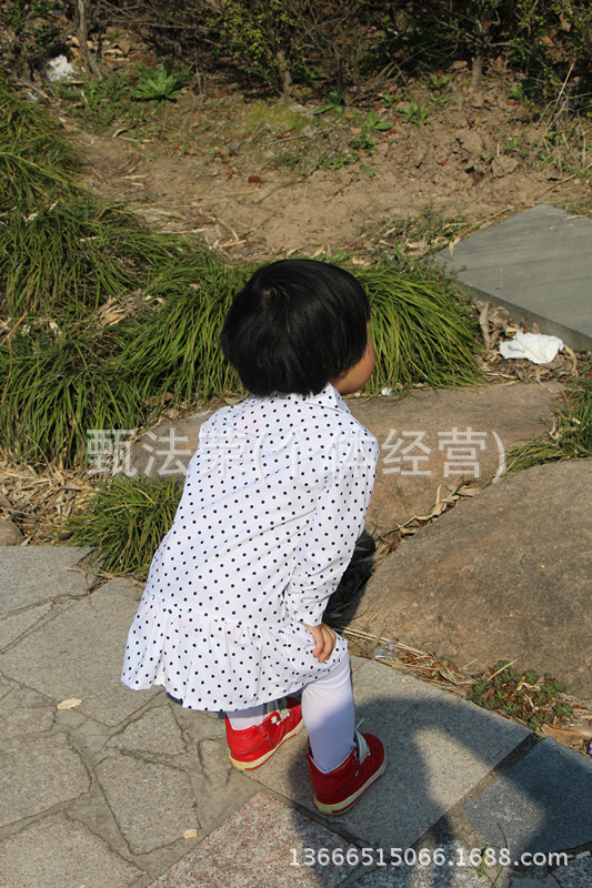 照片 043