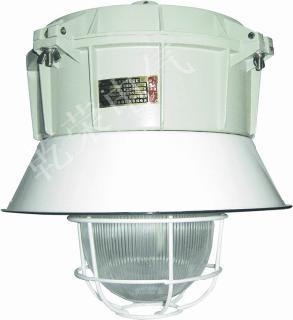 BF系列增安型防爆防腐灯灯(e)