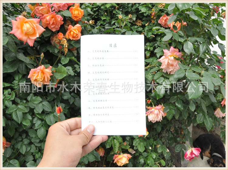 图片、画册-<em>女性养颜祛病艾灸妙方</em> 越艾越美丽