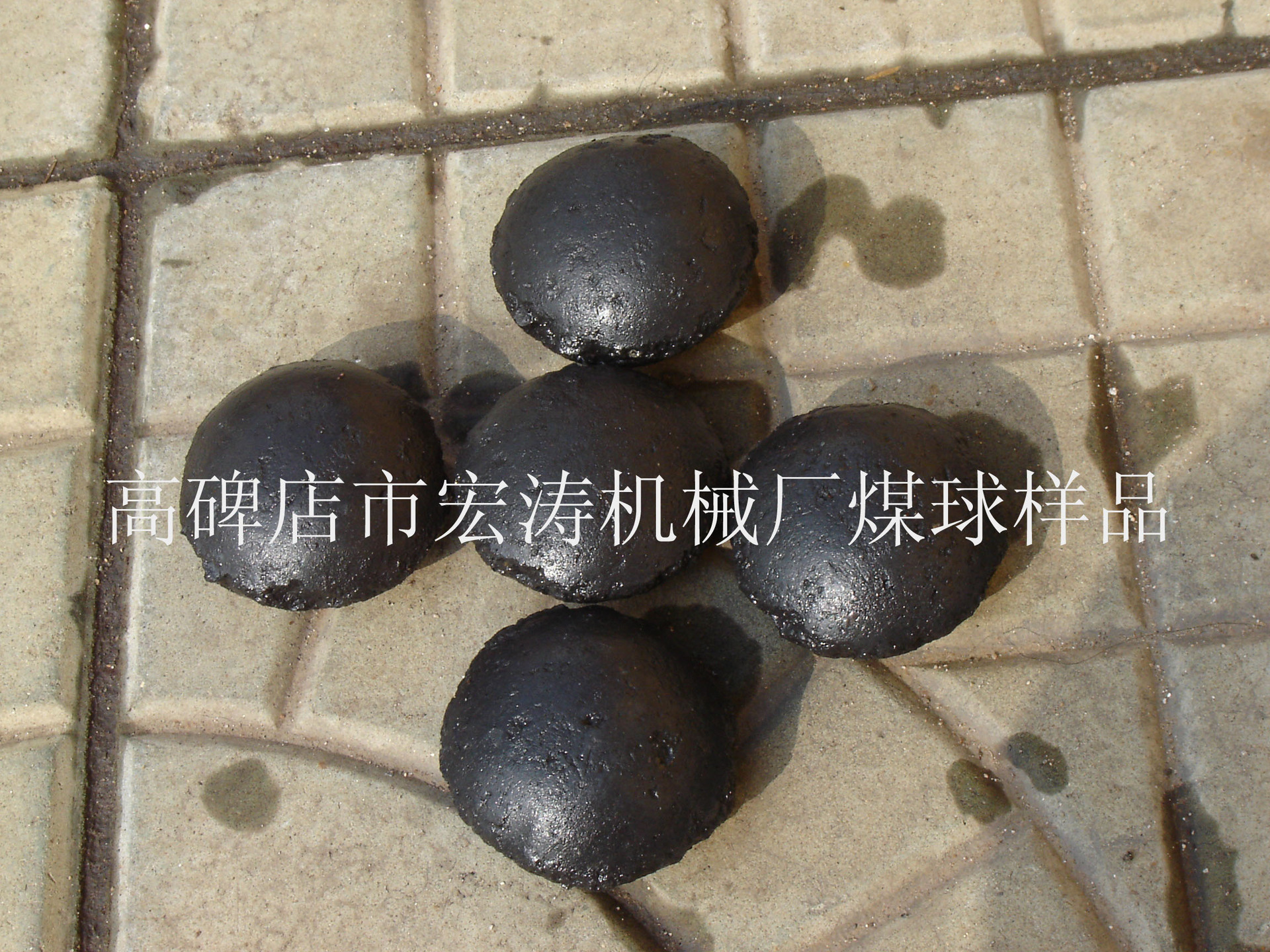 DSC01488