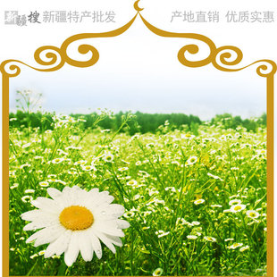 批发采购植物香料-产地直销 罗马洋甘菊精油批