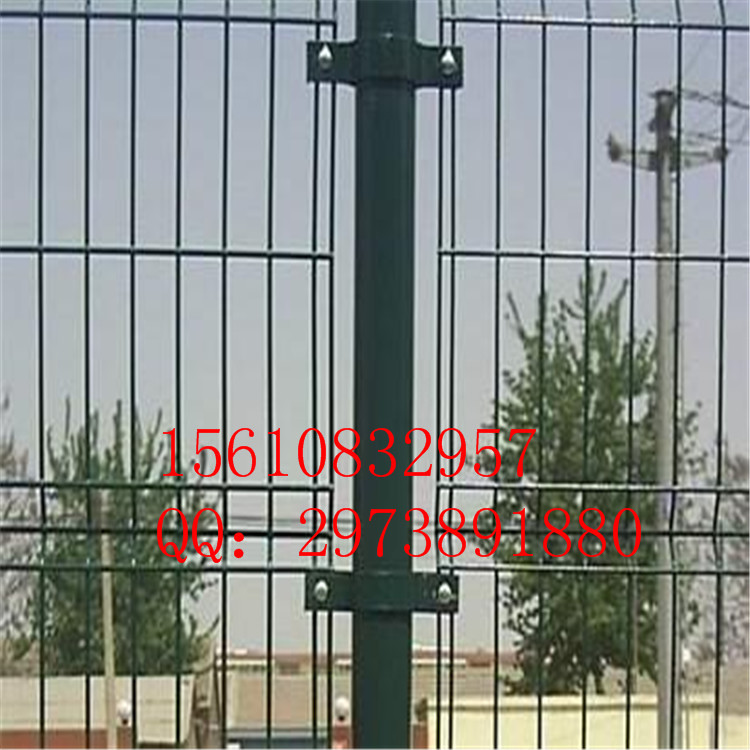 u=267500895,4094750585&fm=23&g