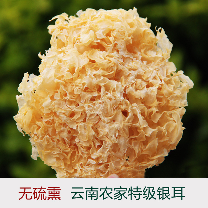 特级有机,云南农家无熏硫糯银耳干货批发,1kg