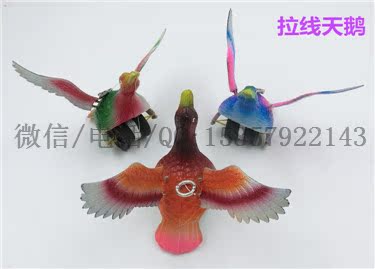 CIMG2607