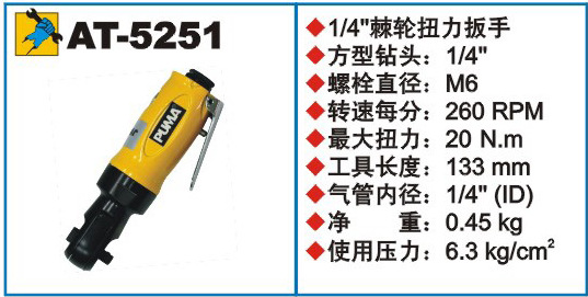 AT5251