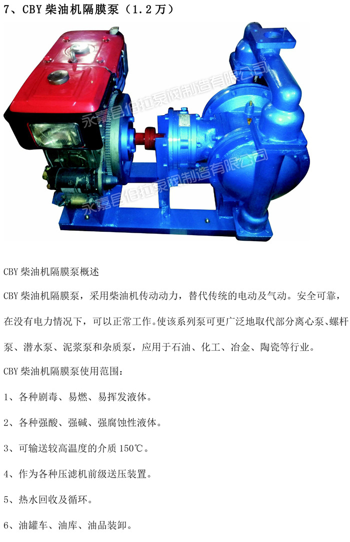7 CBY柴油机隔膜泵 (1)