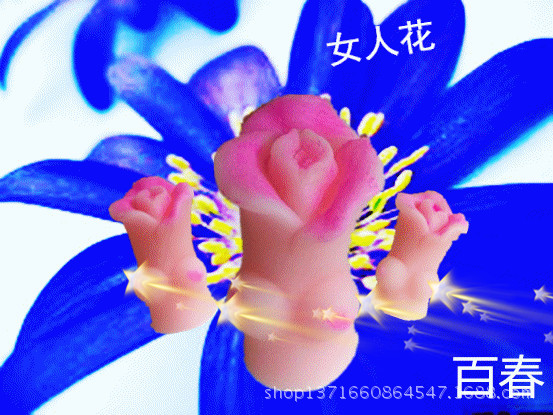 性<em>保健品</em>-小可人-<em>女人花</em>名器男性成人用品便携