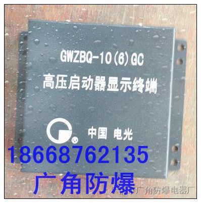 电光gwzbq-10(6)gc保护器