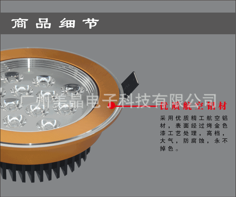 12WLED天花灯厂家直销