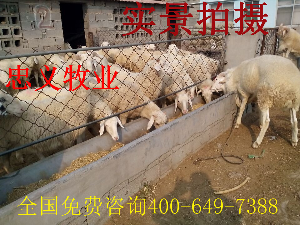 QQ图片20141109170101