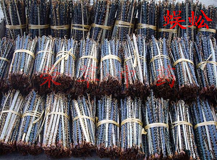 荣草供应中药材 蜈蚣蜈蚣干燥 整条 中小条各种规格蜈蚣