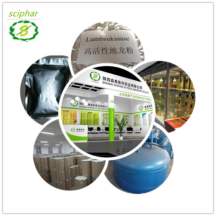 专业厂家供应 蚓激酶 蚯蚓提取物 高品质的提取