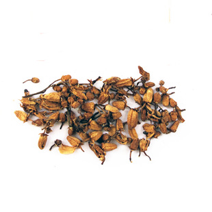 玳玳花 中药 回青橙 枳壳花 酸橙花 中医称福寿草
