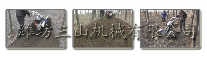 葡萄开沟效果