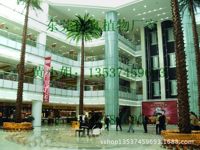 K3CAC6RV8UCAEQASNLCAM7GUFOCAXK