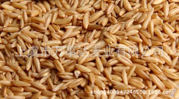 廠家供應(yīng) 食品級 純 燕麥粉 熟 細(xì)粉 食品飲料原料