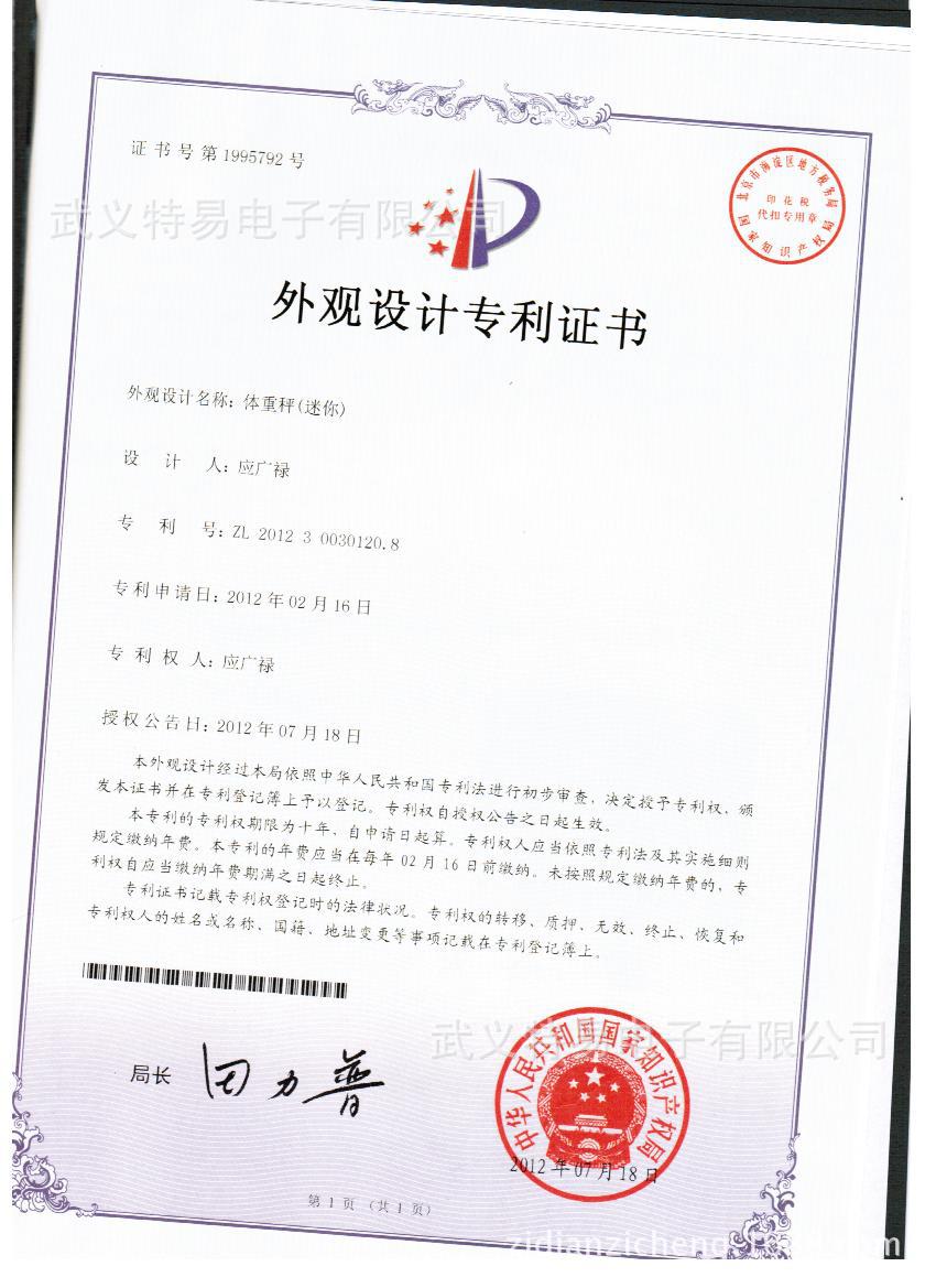 专利报告正本扫描件