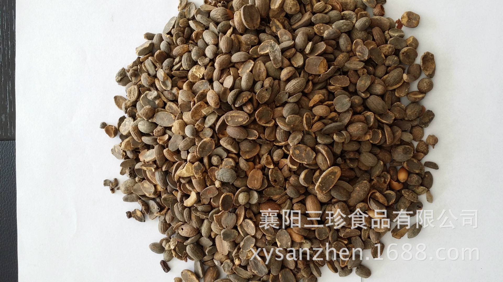 米橡籽仁