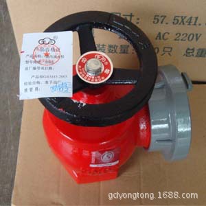 天广牌SN65消防箱室内消火栓头 图片