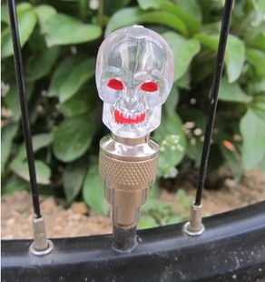 自行车灯-自行车鬼头造型气嘴灯骷髅头气门灯