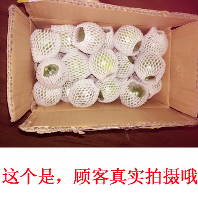越南青柠檬/新鲜当天摘/批发零售/柠檬全国包邮手机18987305589