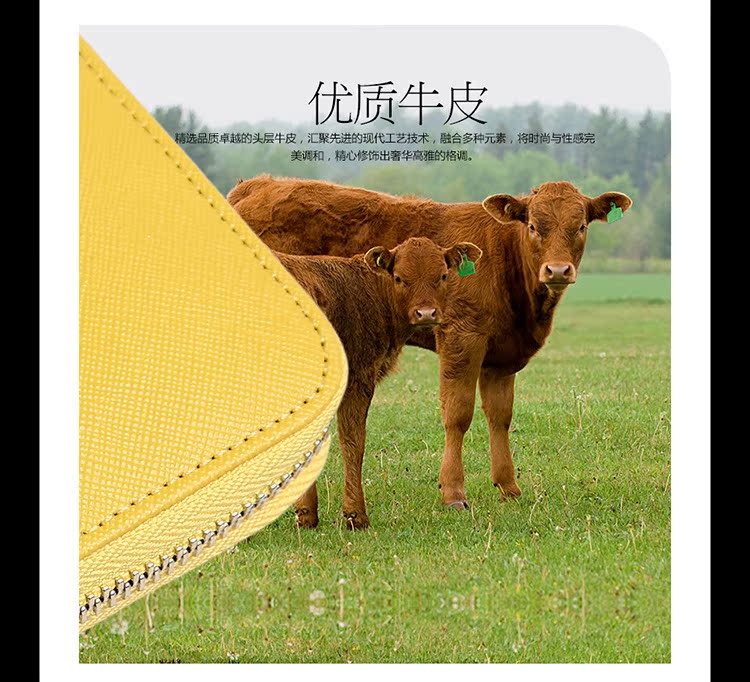 2014新款 女士錢包 韓版潮流女包 女士長錢包 糖果色手拿包 批發