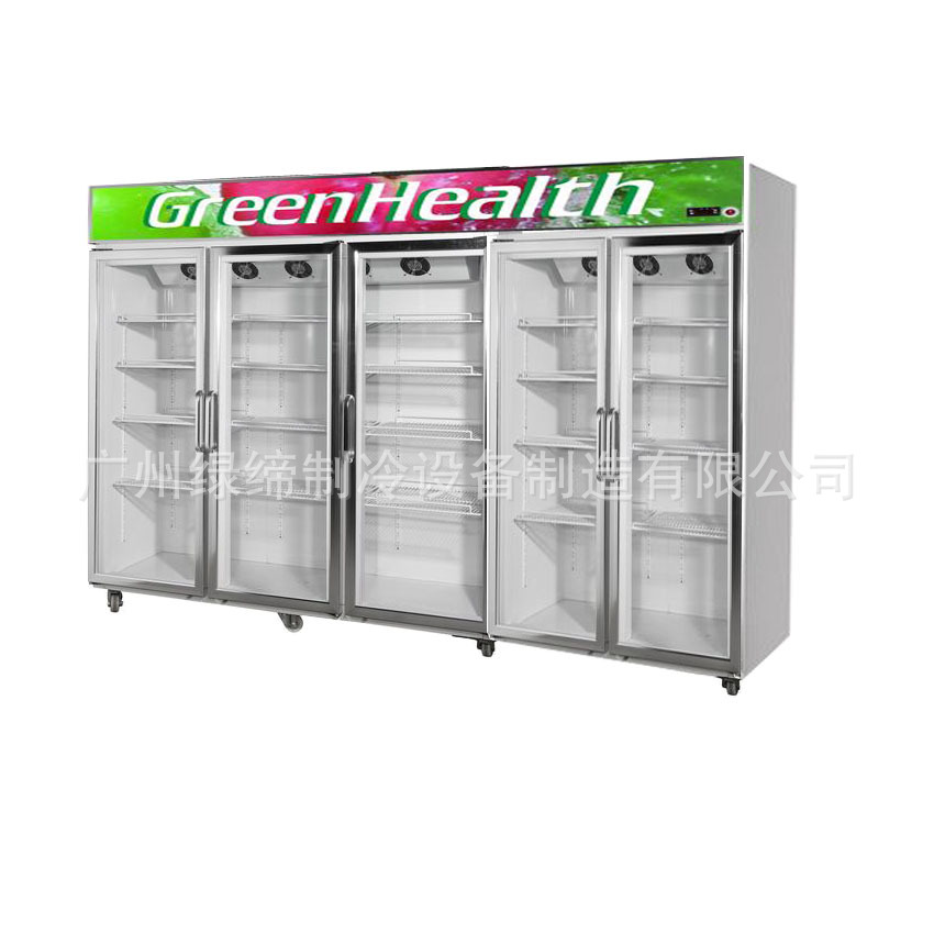 FIVE DOORS FREEZER CONDENSING