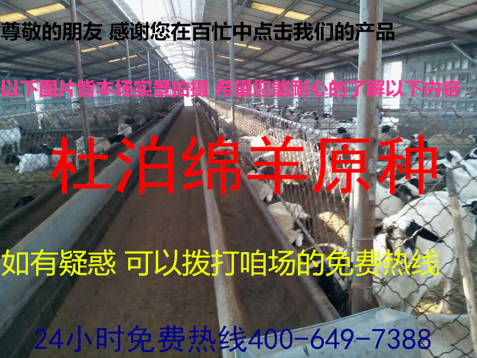 QQ图片20141109171456