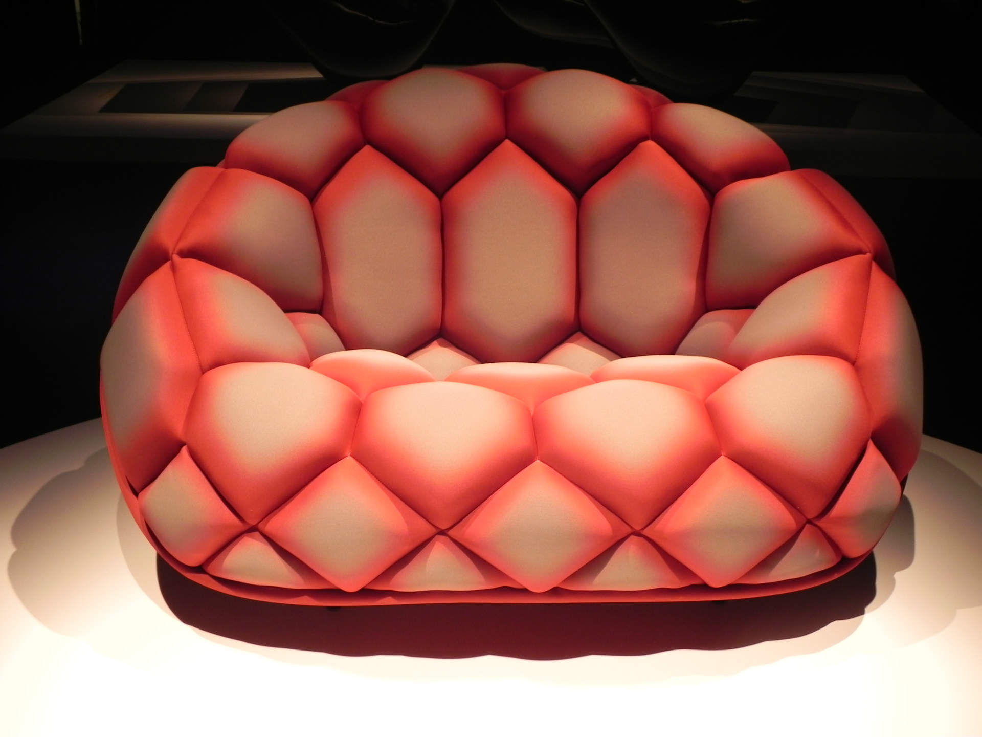 03.JPG.download.JPG.download.o