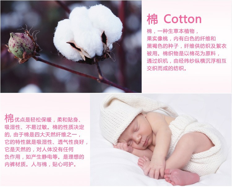 圓點字母船襪12