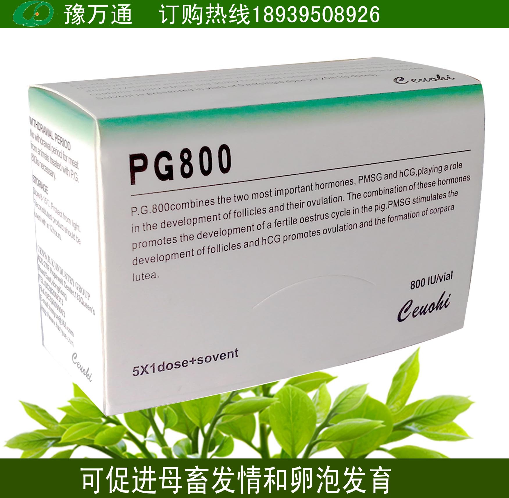 猪场专用孕马血清 pg800 促性腺激素和绒促性素混合而成 促排卵