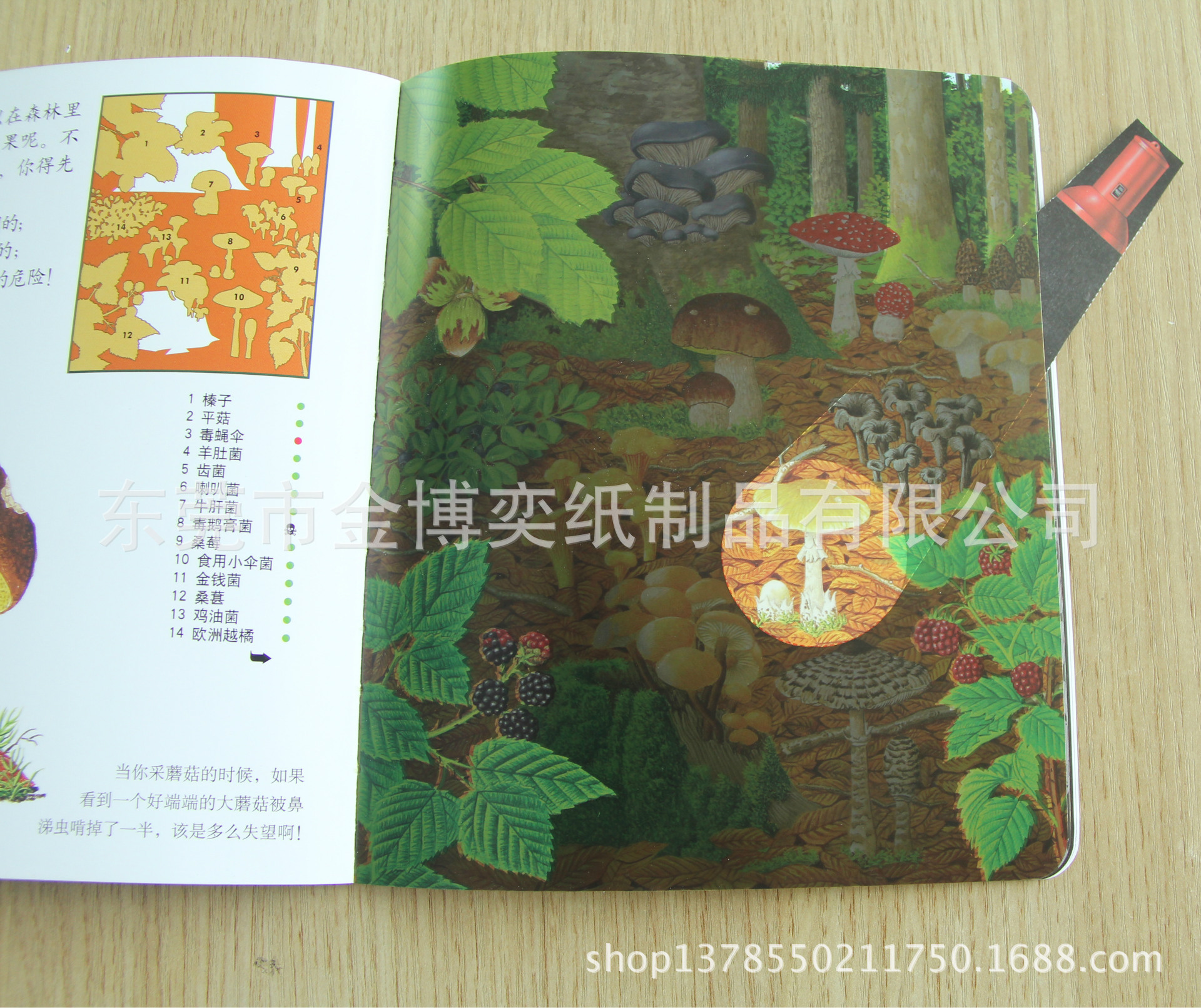 手电筒书023