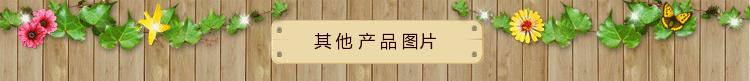 img (2)